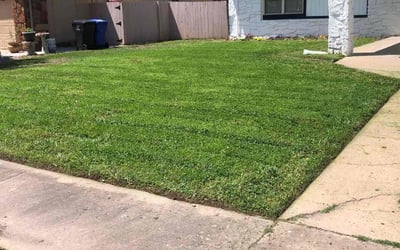Photo of Martel B.'s yard after getting lawn care in Broken Arrow, OK