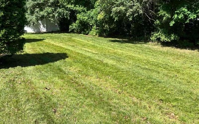 Photo of Susan S.'s yard after getting lawn care in Voorhees, NJ