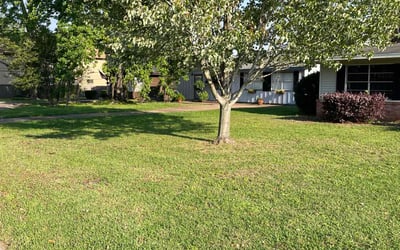 Photo of Brendon C.'s yard after getting lawn care in Beaumont, TX