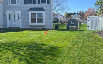 Photo of David A.'s yard after getting lawn care in North Wales, PA