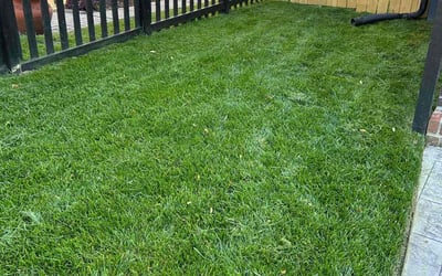 Photo of Eric H.'s yard after getting lawn care in Richmond, VA