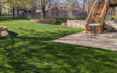 Photo of Cheryl C.'s yard after getting lawn care in Lacygne, KS