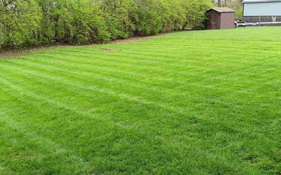 Photo of Jonathan C.'s yard after getting lawn care in Delaware, OH