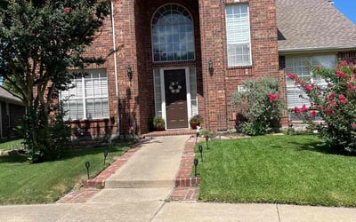 Photo of Abdul M.'s yard after getting lawn care in Sachse, TX