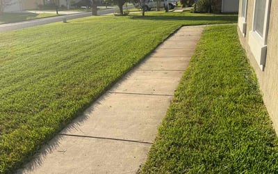 Photo of Mark D.'s yard after getting lawn care in Callahan, FL