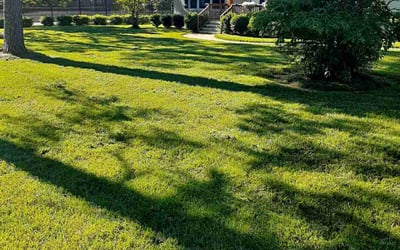 Photo of Dean E.'s yard after getting lawn care in Monroe, NC