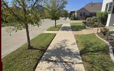Photo of James R.'s yard after getting lawn care in Arlington, TX