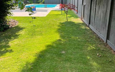 Photo of Cate C.'s yard after getting lawn care in Kansas City, KS