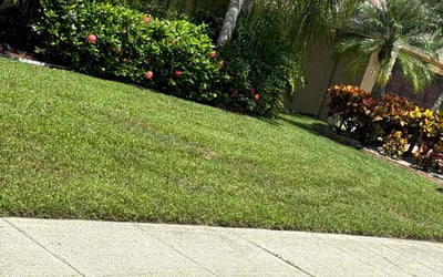 Photo of Octavius R.'s yard after getting lawn care in Palm Beach, FL