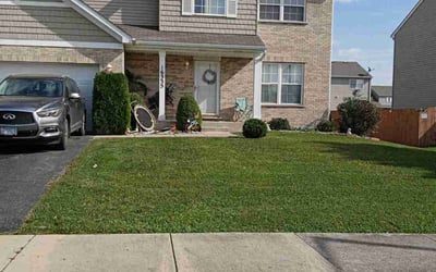 Photo of Andre W.'s yard after getting lawn care in Crest Hill, IL