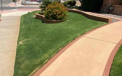 Photo of Jane l.'s yard after getting lawn care in El Paso, TX