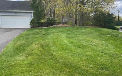 Photo of Fred E.'s yard after getting lawn care in Vernon Rockville, CT