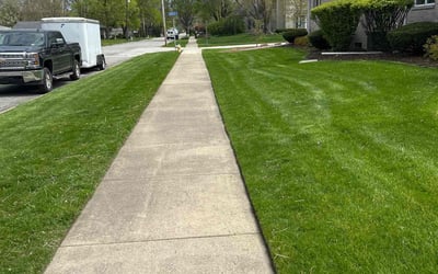 Photo of Connor S.'s yard after getting lawn care in Munster, IN