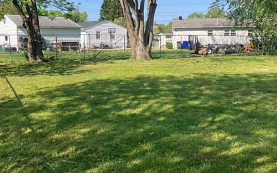 Photo of Andrea A.'s yard after getting lawn care in Blacksburg, VA