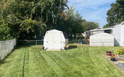 Photo of Patty M.'s yard after getting lawn care in Akron, OH