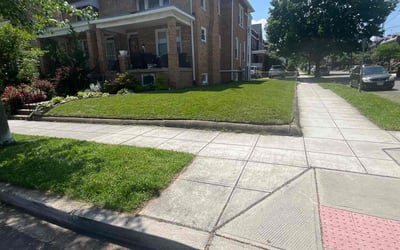 Photo of Marcus P.'s yard after getting lawn care in Washington, DC