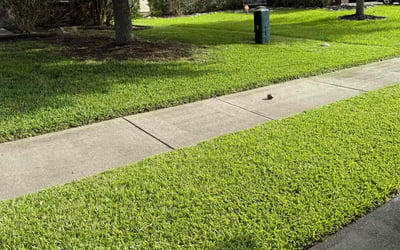 Photo of Evan H.'s yard after getting lawn care in Arlington, VA