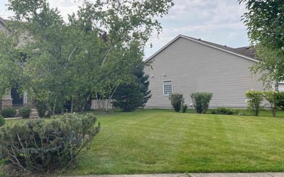 Photo of Jamal E.'s yard after getting lawn care in Dekalb, IL