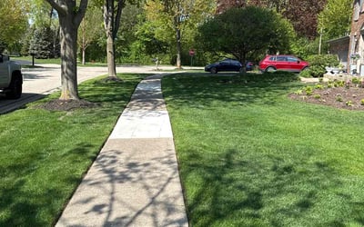 Photo of Travis P.'s yard after getting lawn care in Lewisville, TX
