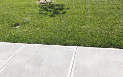 Photo of Nicole A.'s yard after getting lawn care in Westfield, NJ