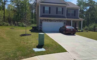 Photo of Dani R.'s yard after getting lawn care in Hampton, GA