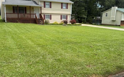 Photo of William I.'s yard after getting lawn care in Fernandina Beach, FL