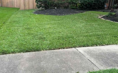 Photo of Janet L.'s yard after getting lawn care in Rockville Centre, NY