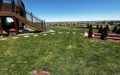 Photo of Kimberly C.'s yard after getting lawn care in Black Forest, CO