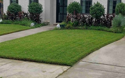 Photo of Cassy B.'s yard after getting lawn care in Houston, TX