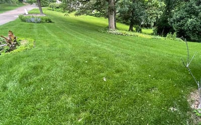 Photo of Dayna P.'s yard after getting lawn care in Apollo Beach, FL