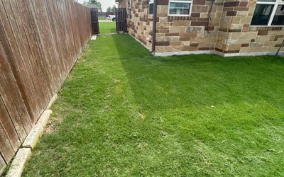 Photo of Angel M.'s yard after getting lawn care in Jarrell, TX