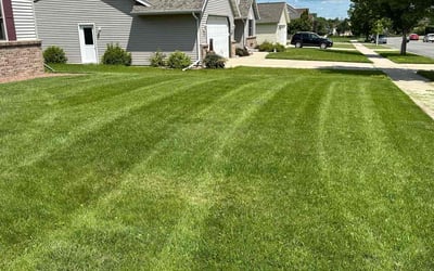 Photo of John E.'s yard after getting lawn care in Hartford, WI