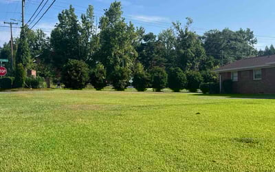 Photo of Cody D.'s yard after getting lawn care in La Vergne, TN