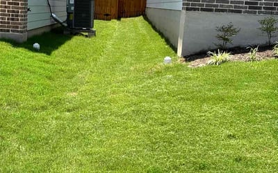 Photo of Ivy S.'s yard after getting lawn care in Rehoboth Beach, DE
