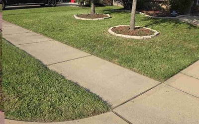 Photo of Candice W.'s yard after getting lawn care in Seabrook, TX