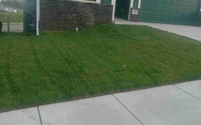 Photo of Anthony H.'s yard after getting lawn care in Cedar Falls, IA