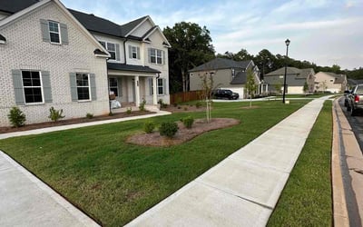 Photo of Anthony M.'s yard after getting lawn care in Memphis, TN