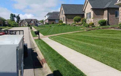Photo of Sheriese W.'s yard after getting lawn care in Temple, TX