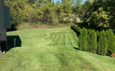 Photo of Ellen M.'s yard after getting lawn care in Hagerstown, MD