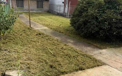 Photo of Shelby L.'s yard after getting lawn care in Pace, FL