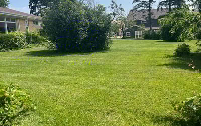 Photo of Kristy C.'s yard after getting lawn care in Lake Zurich, IL