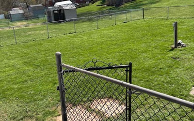 Photo of Joel T.'s yard after getting lawn care in Mckeesport, PA