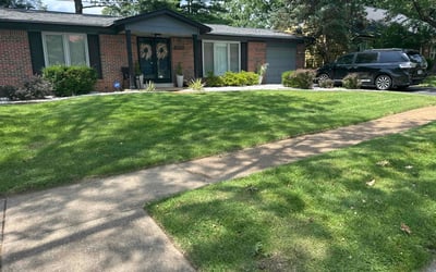 Photo of Billie T.'s yard after getting lawn care in Fountain, CO
