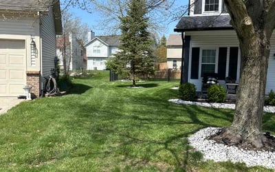 Photo of Monica V.'s yard after getting lawn care in Pendleton, IN