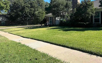 Photo of Jamaal R.'s yard after getting lawn care in Nashville, TN