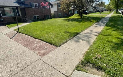Photo of Brandon S.'s yard after getting lawn care in Buford, GA