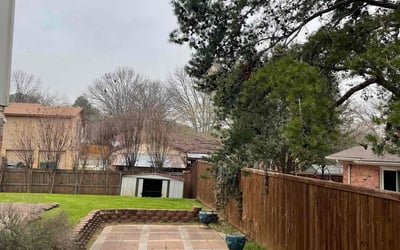 Photo of Thelma C.'s yard after getting lawn care in Lewisville, TX