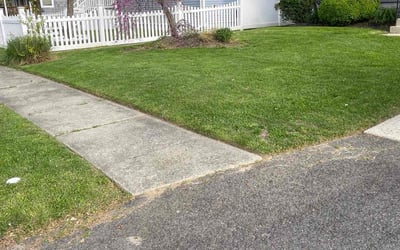 Photo of Kay B.'s yard after getting lawn care in Maple Shade, NJ