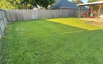 Photo of Jessica M.'s yard after getting lawn care in Youngsville, LA