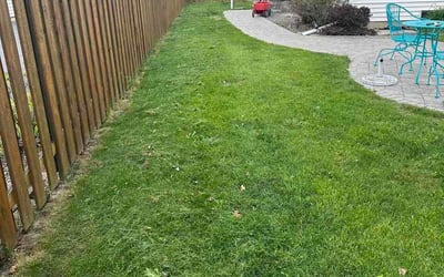 Photo of Joseph C.'s yard after getting lawn care in Norristown, PA